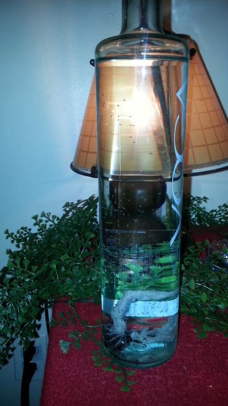 How to Purify Your Own Water (REMOVE FLUORIDE TOO!) Image eClassifieds4u