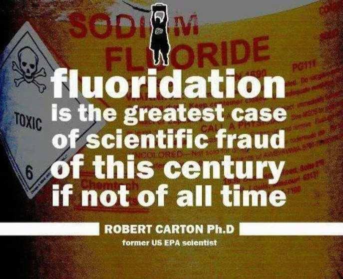 How to Purify Your Own Water (REMOVE FLUORIDE TOO!) Image eClassifieds4u