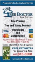 Christmas lights setup by Your Tree Doctor Image eClassifieds4u 4