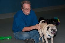 Healthy Male and Female Pug puppies Call Or Text At (225) 800-0871 Image eClassifieds4U
