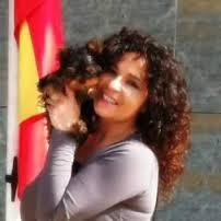 XMAS AFFECTIONATE HOME TRAINED MALE AND FEMALE YORKIE PUPPIES Image eClassifieds4u