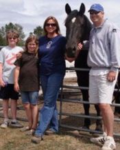 A Registered Friesian Sport Horse 17h micro-chipped 8 year old Gelding for adoption