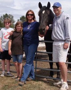 OMG!!! Flashy and Healthy Friesian Gelding Horse For Sale Image eClassifieds4u