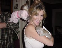 3 months Old Cappuchin Monkey for Sale