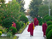 Revitalise your spirit on a spiritual journey to India Image eClassifieds4u 2