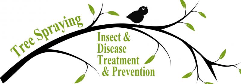 Pest Control and Prevention Image eClassifieds4u
