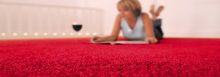 DISCOUNTS PROFESSIONAL CARPET CLEANING