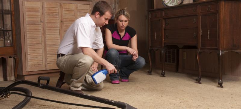 DISCOUNTS PROFESSIONAL CARPET CLEANING Image eClassifieds4u