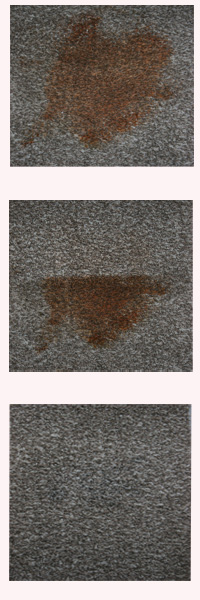DISCOUNTS PROFESSIONAL CARPET CLEANING Image eClassifieds4u