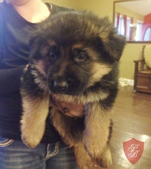 jonathanjessy512@mail.com Image eClassifieds4u