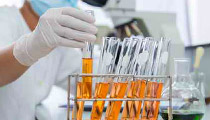 Viral Vectors for Vaccines And Viral Seed Stock Available At VxP Biologics | VxP Biologics Image eClassifieds4u