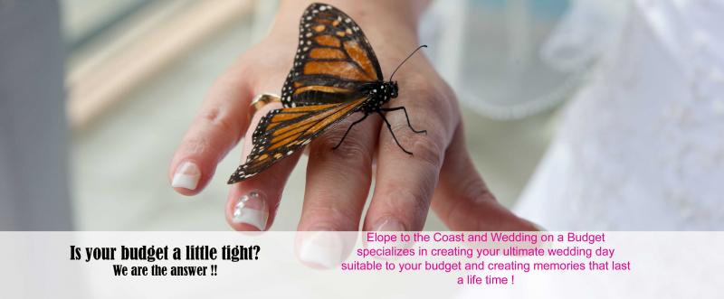 Budget Wedding Packages or Elopement Packages | We make it beautiful Image eClassifieds4u