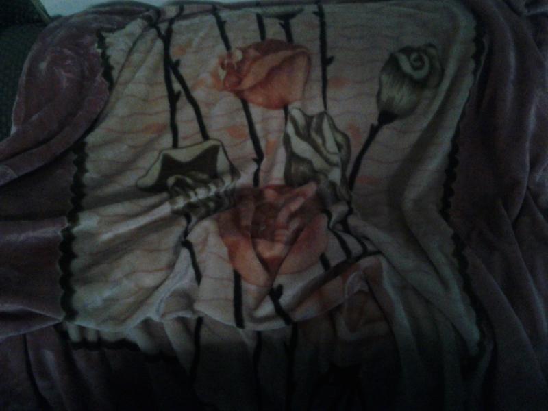 Mink Blanket Image eClassifieds4u