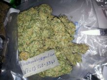 !! Topshelf Indoor strains at low donations per units Image eClassifieds4U