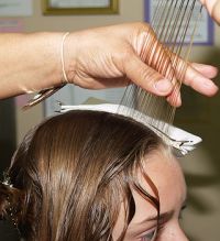 Professional Natural Head Lice Removal Image eClassifieds4u 4