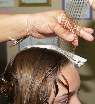 Professional Natural Head Lice Removal Image eClassifieds4u