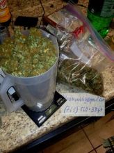 // Indoor mmj strains at low prices Image eClassifieds4U