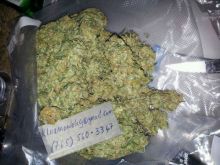 !@ Indoor mmj strains at low prices and pills Image eClassifieds4U