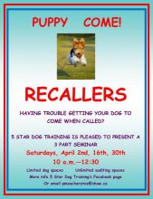 TEACH YOUR DOG TO COME WHEN CALLED Image eClassifieds4U