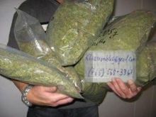 Topshelf Indoor strains at low donations per units.@ Image eClassifieds4U