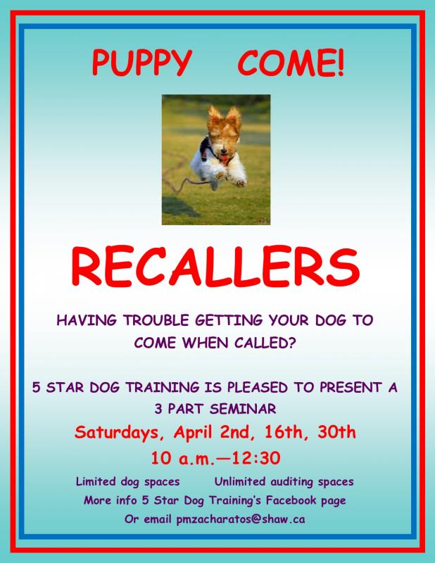 TEACH YOUR DOG TO COME WHEN CALLED Image eClassifieds4u