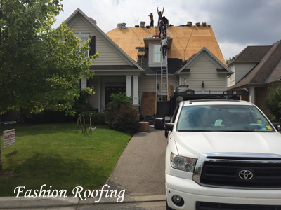 Fashion Roofing( Top Quality100%Satisfaction Guarantee4168976281 Watch|Share |Print|Report Ad Image eClassifieds4u