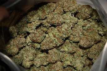 Grade A+++ Kush / Medicinal Marijuana Strains for sale Image eClassifieds4u