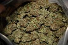 Top Grade Medical Marejuana- Multiple strain available