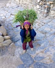 volunteer and cultural journey to Nepal | Touch of Spirit Tours