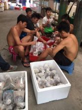 Black Diamond leopoldi Stingray and Arowana fishes for slae