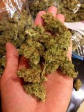 Medical Marijuana ,Cannabis, OG Kush,Sour Diesel,Purple kush,Girl scout,Green Crack..(803) 392-1774 Image eClassifieds4U