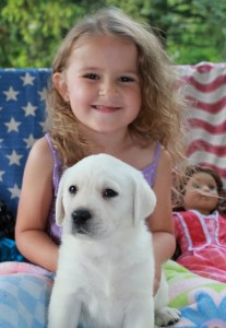Little Labrador pup with the queens kiss a beauty mark Image eClassifieds4u