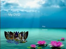 VCTS.ca or Video Capture & Transfer Service Image eClassifieds4u 4