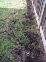 Organic Green Lawncare Services- Spring Clean-ups 2016