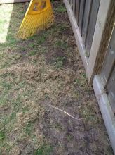 Organic Green Lawncare Services- Spring Clean-ups 2016 Image eClassifieds4u 2