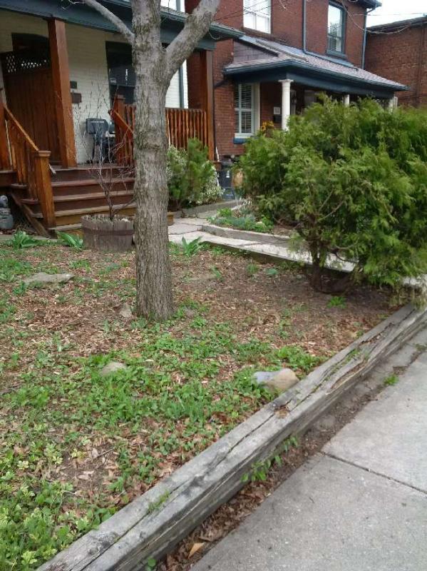 Organic Green Lawncare Services- Spring Clean-ups 2016 Image eClassifieds4u
