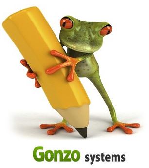 Website Design Services Florida - Gonzosystems Image eClassifieds4u