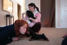 Gorgeous Teacup Yorkie puppies Available text now at (908) 264-6772 Image eClassifieds4u