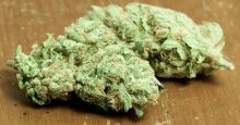TOP MEDICAL MARIJUANA STRAINS /CLONE /WAX/ HASH OIL /PAIN PILLS (215) 664-2626 Image eClassifieds4u 4