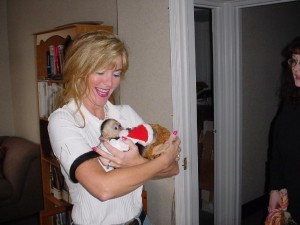 2 TWIN capuchin monkeys for free adoption Image eClassifieds4u