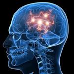 iboga , capsul , tablet , root back and leaves for sale Image eClassifieds4U