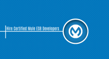 Hire Certified Mule ESB Developers & Specialists Image eClassifieds4U