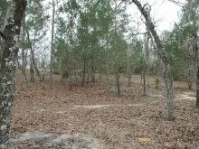 Florida property for sale Image eClassifieds4u 2