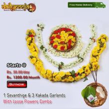 1 Sevanthige & 3 Kakada Garlands With Loose Flowers Combo at Rs50 Per Day / Rs 1200 Per Month