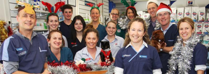 North Ryde Vet Clinic - Quality Health Care for Your Pets Image eClassifieds4u