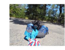 Very Tiny Teacup Yorkie Puppies Now Available