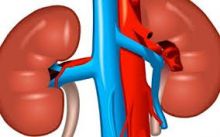 Chronic Kidney Disease Treatment Florence Image eClassifieds4U