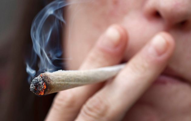 Buy top Quality Weed and Cannabis oil for sell at moderate prices (678)390-4450 Image eClassifieds4u