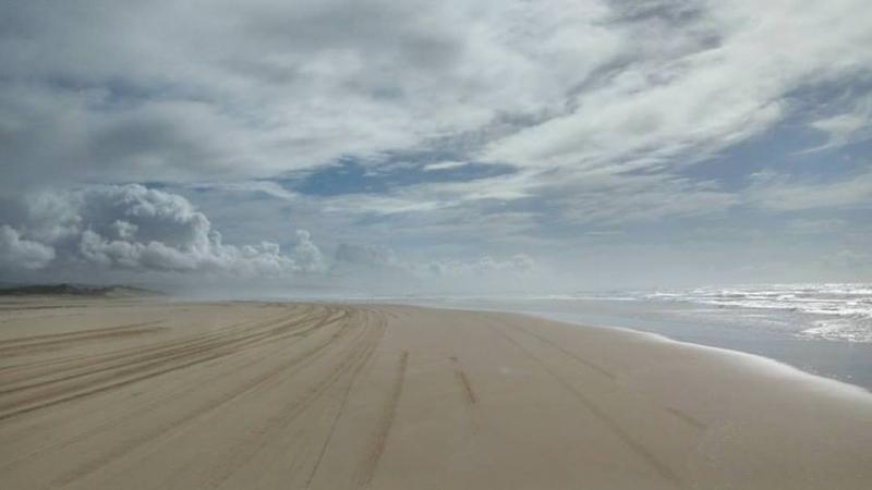 FRASER ISLAND TOURS Image eClassifieds4u