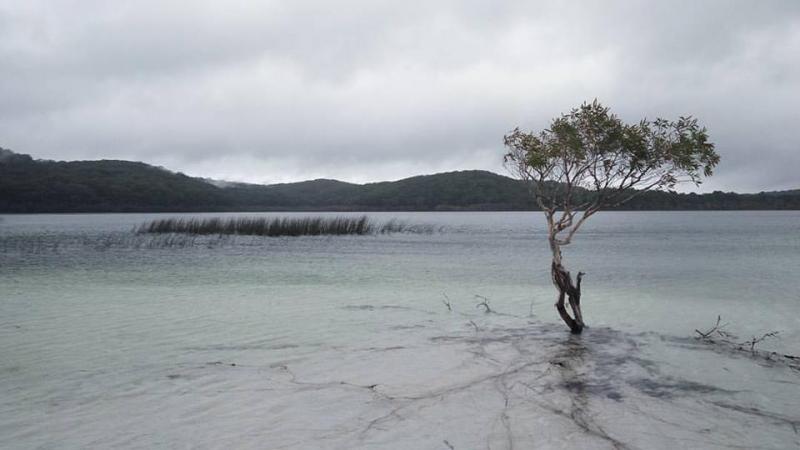FRASER ISLAND TOURS Image eClassifieds4u